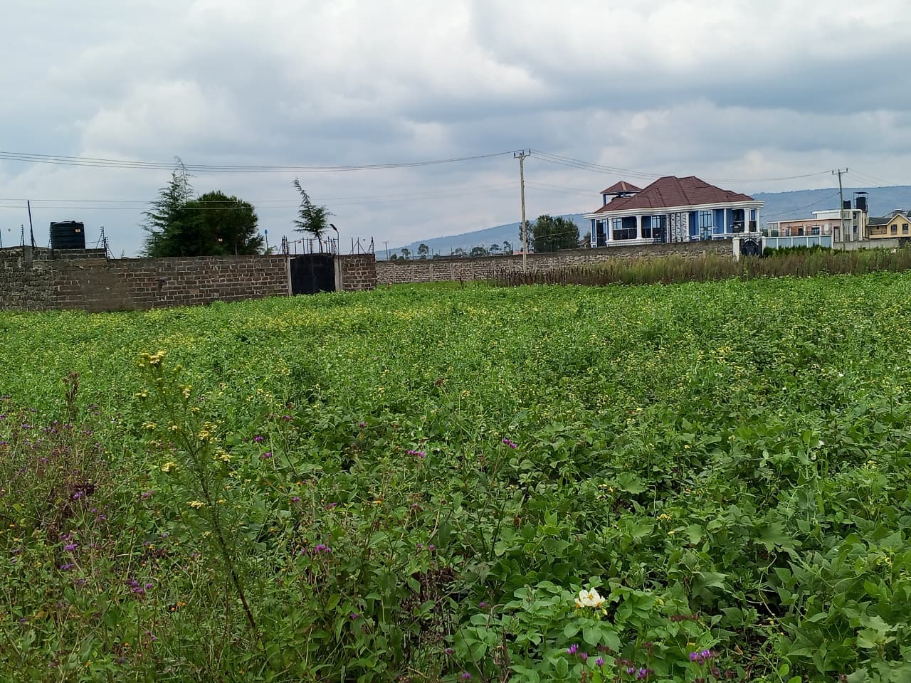 Ridges gated estate